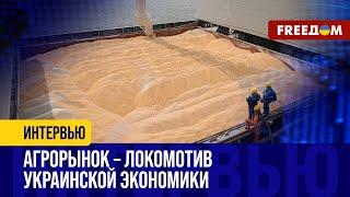  Урожай 2023-го УСПЕШНО пошел на ЭКСПОРТ. Украинский АГРОРЫНОК работает стабильно