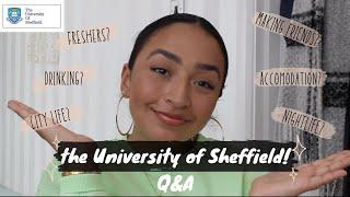 University of Sheffield Q&A (basically everything you'll need to know as a fresher) | Sophia Rami