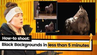 How to SHOOT Black Background Horse Photography in Under 5 Minutes (+ Viewfinder View of BTS)