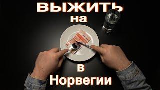 Как выжить на 100 крон в Норвегии?/Украинец в Норвегии