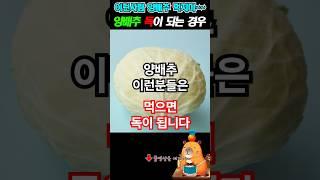 이런 사람은 양배추 독이 됩니다양배추 부작용 #건강 #건강정보 #건강상식