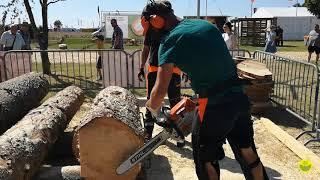 Live, der Vergleich zwischen der Stihl MS 462 C-M und MS 500i. Auf der Demopark in Eisenach