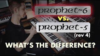 what's the difference between the prophet 5 reissue and the prophet 6?