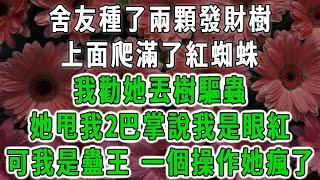 舍友種了兩顆發財樹，上面爬滿了紅蜘蛛，我勸她丟樹驅蟲，她甩我2巴掌說我是眼紅，可我是蠱王 一個操作她瘋了#荷上清風 #爽文