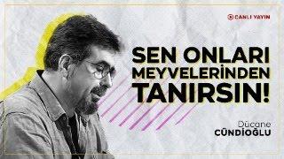 Sen Onları Meyvelerinden Tanırsın!