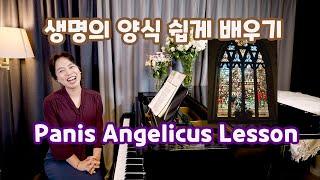 생명의 양식 (Panis Angelicus) 쉽게 배우기ㅣ따라부르다보면 라틴어를 하고 있는 자신을 보고 깜짝 놀라게 될 영상