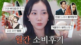 12월간소비: ️겨울뷰티쇼핑/넷플신상드라마볼까말까/웹툰추천