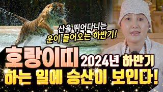 온 산을 누비며 뛰어다니는 호랑이띠! 이동운이 강하게 들어오는 2024갑진년 하반기 호랑이띠운세! [#칠성대신당]