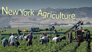 How Are 7,1 Million Acres Of Farmland In NEW YORK Harvested - American Farming