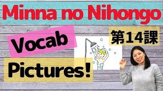 L14 Vocabulary Minna no Nihongo with Pictures | Memorize Japanese words with pictures