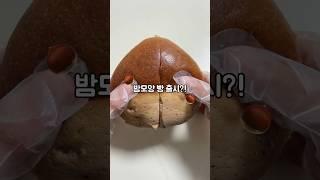 #협찬 맛밤 신상 알밤크림빵 