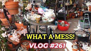 3 YEARS of HOARDING GARDEN MESS  | VLOG #261- Growing Succulents with LizK