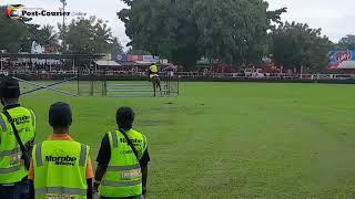 Best presented and lead horse batte begins at Morobe show