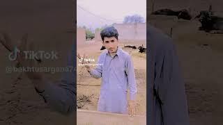 Best Top comedy video Muzamil Abbas