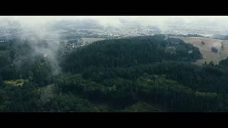 MAVIC 2 PRO: Dark Forest 4K footage