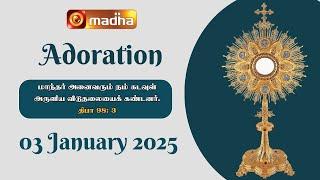  LIVE 03 January 2025 | Adoration 11:00 AM | Madha TV