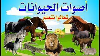 أسماء وأصوات الحيوانات للاطفال   تعليم أصوات الحيوانات للأطفال باللغة العربية #animal_sounds