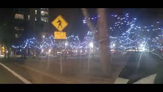 Christmas Season Night Time Driving in Downtown Olympia Washington | Beautiful Outdoor Decoration