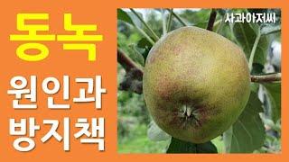 동녹[사비]의 발생 원인 및 방지 대책
