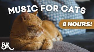 8 Hours of Soothing Cat Music