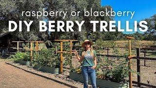 DIY Berry Trellis: How to Build a Wire Raspberry or Blackberry Trellis