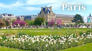 [4K] Paris Walk: Tuileries Garden,  Palais-Royal Pl. Vendome , Lunch at Two Michelin Stars