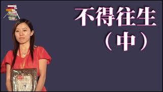 阿耐《不得往生》（中）赵丽颖&欧豪&李光洁主演《风吹半夏》影视原著小说