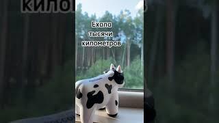 Путешествие в Йошкар-Олу на фест "Диво России"/A trip to Yoshkar-Ola for the Divo of Russia Festival