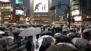 4K・ Rainy night at Tokyo Shibuya