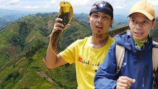 Catching the Most Venomous Snakes (Samar Cobras)