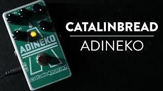 Riff & Run: Catalinbread Adineko Oil Can Delay demo