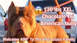 Welcome 400° To The Ultra Class Family