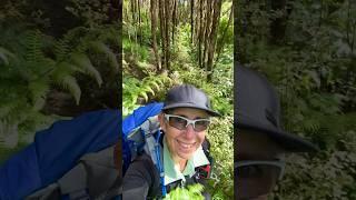 Day 34 Hiking 3000km on Te Araroa #teararoa #mercer #whangamarino #rangiriri #thruhike #backpackers