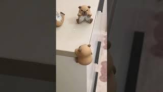 There's a cute creature growing in the corner of the table. #shorts #capybara #creative #gift #cute
