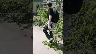 В Иркутске убирают деревья