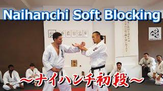 ナイハンチ初段～Naihanchi Soft Blocking～