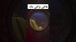 عودة هاقي واقي في الشابتر الرابع