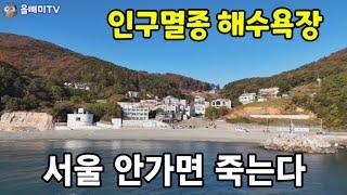 해수욕장 펜션도 인구멸종 ◇ 서울 안가면 죽는다