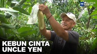 Kebun Cinta Uncle Yen | MHI (15 Jun 2023)