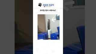 웃긴 상황들 모음 16탄 ㅋㅋㅋㅋ
