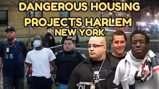 Inside New York’s Most Dangerous Housing Projects (Harlem): Real Stories from NYCHA Residents