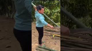 Girl creates flooring for her bamboo house #farm #la thị tòng #bambo house 2024