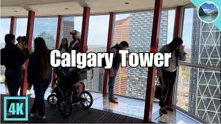 Calgary Walk  Amazing View from Calgary Tower