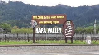 Napa Valley /Winery/St.Helena/Culinary Institute of America/나파밸리/CIA요리학교/San Francisco/California