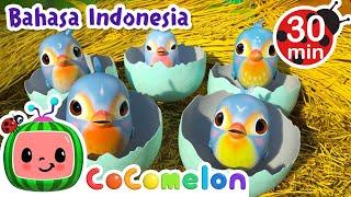 Sarang Burung Kecil | CoComelon | Kartun dan Lagu Anak | Moonbug Kids Indonesia | Nursery Rhymes