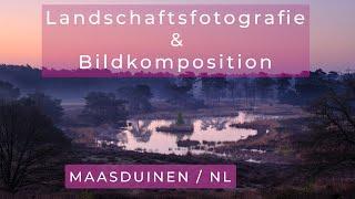 Landschaftsfotografie und Bildkomposition ON LOCATION - Morgennebel in den Maasduinen