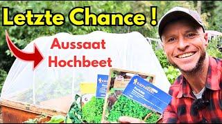 Hochbeet im Oktober für den Winter bepflanzen mit Pflanzplänen und genauen Sortenangaben!