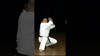 Garyu #kata#shinkyokushinkai #karatefederation