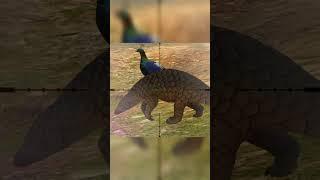 Hunting pangolin - Way Of The Hunter  - Hunting Clash #animals #hunting #gaming