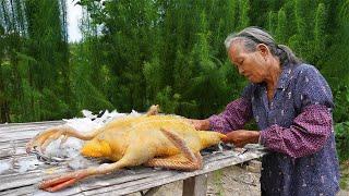 孫子準備去學校，阿婆給他做美味鴨飯，讓他去學校好好學習Guangxi grandma, uses duck meat to make various traditional food｜玉林阿婆